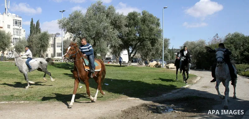 Palestinians enjoy riding horses during the second day of Eid al-Adha in Jerusalem's old city on November 7, 2011. Muslims worldwide commemorate the Eid al-Adha, or the Feast of the Sacrifice, marking the end of the Hajj...