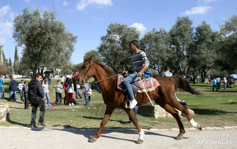 Palestinians enjoy riding horses during the second day of Eid al-Adha in Jerusalem's old city on November 7, 2011. Muslims worldwide commemorate the Eid al-Adha, or the Feast of the Sacrifice, marking the end of the Hajj...
