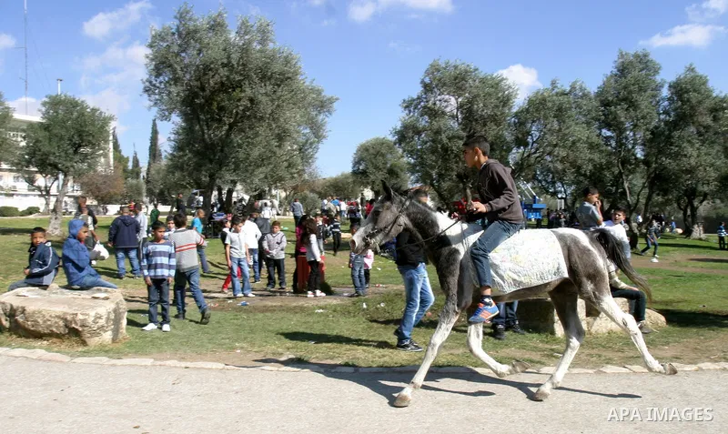 Palestinians enjoy riding horses during the second day of Eid al-Adha in Jerusalem's old city on November 7, 2011. Muslims worldwide commemorate the Eid al-Adha, or the Feast of the Sacrifice, marking the end of the Hajj...