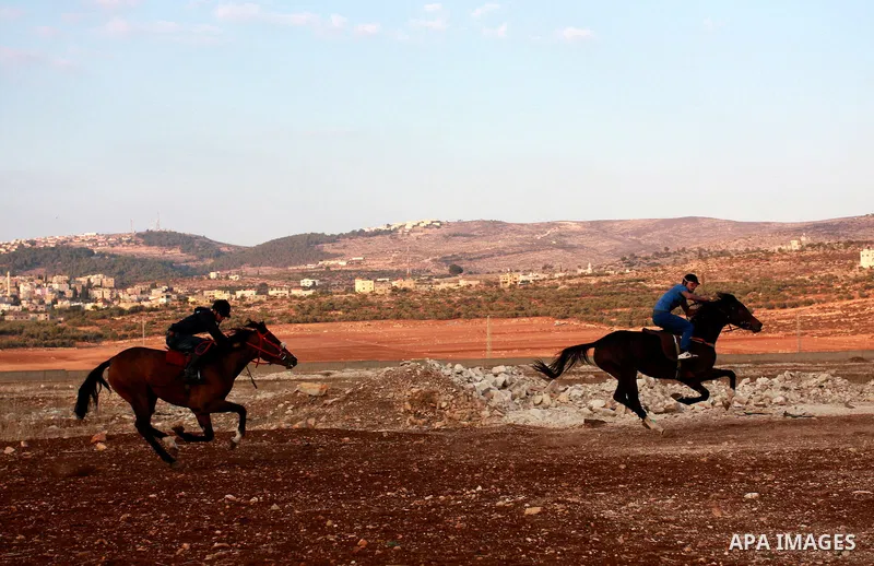 A Palestinian jockey competes during a horse race in the West Bank village of Beit Fourik, near the town of Nablus, on 08 November 2011. Some 60 horses in different heats participated in races through the day, attracting...