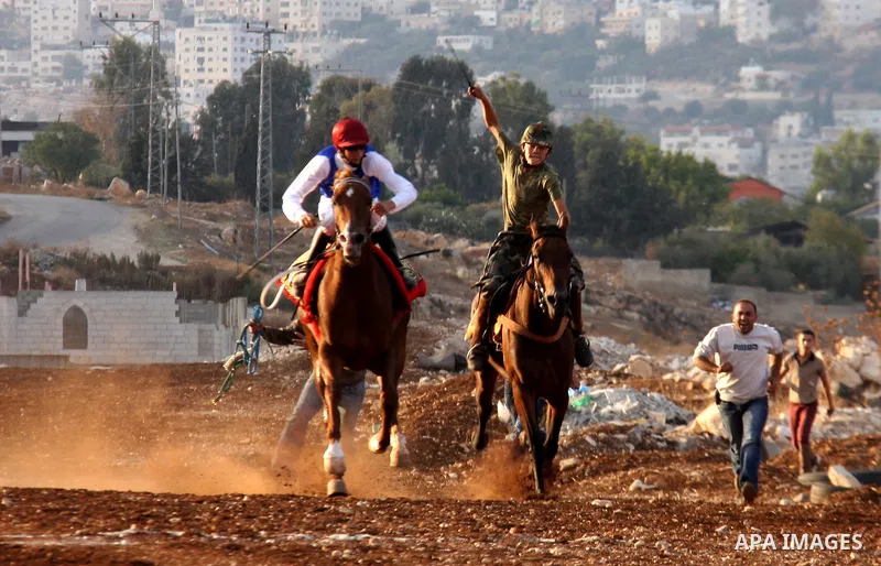 A Palestinian jockey competes during a horse race in the West Bank village of Beit Fourik, near the town of Nablus, on 08 November 2011. Some 60 horses in different heats participated in races through the day, attracting...