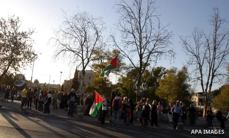 Palestinian demonstrators wave their national flag in the mostly Arab Jerusalem neighbourhood of Sheikh Jarrah on Nov.11,2011 during a weekly demonstration by Israeli, Palestinian and international activists. Photo by Ma...