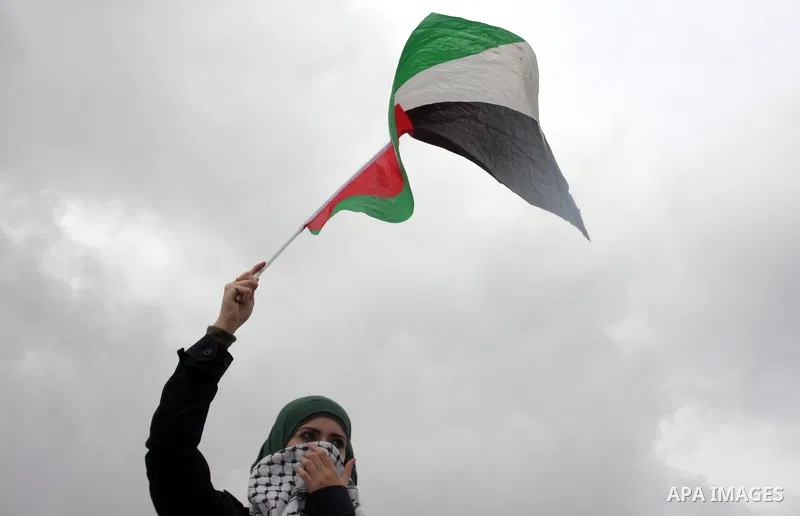 A Palestinian woman waves her national flag in front of Israeli soldiers during clashes at a weekly protest in the West Bank village of Nabi Saleh, near Ramallah November 18, 2011. Photo by Issam Rimawi