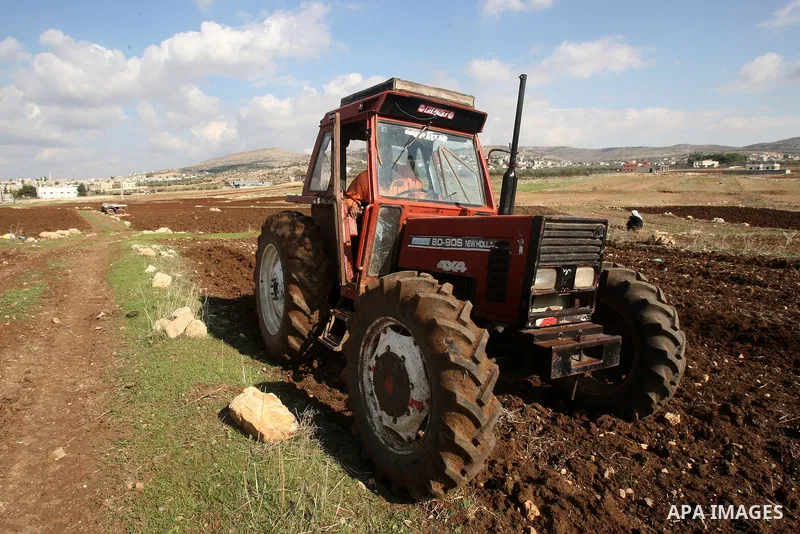 A Palestinian farmer plants grains of wheat at his farm in Beit-wazan village in the West Bank city of Nablus, Thursday, Nov. 24, 2011. Photo by Wagdi Eshtayah