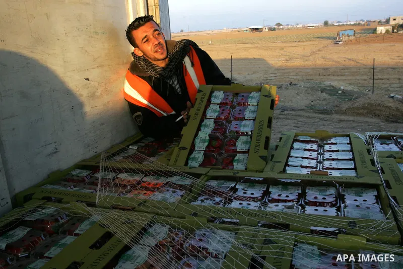 A Palestinian man inspects the truck loaded with flowers and strawberries at the Rafah border crossing in the southern Gaza Strip on Nov. 27, 2011, after Israel granted special approval for the export of a small amount o...