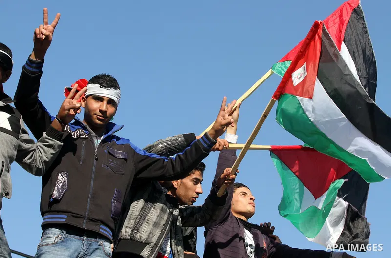 Palestinians take part in a rally in Gaza City marking the U.N.'s International Day of Solidarity with the Palestinian People November 29, 2011. Photo by Majdi Fathi