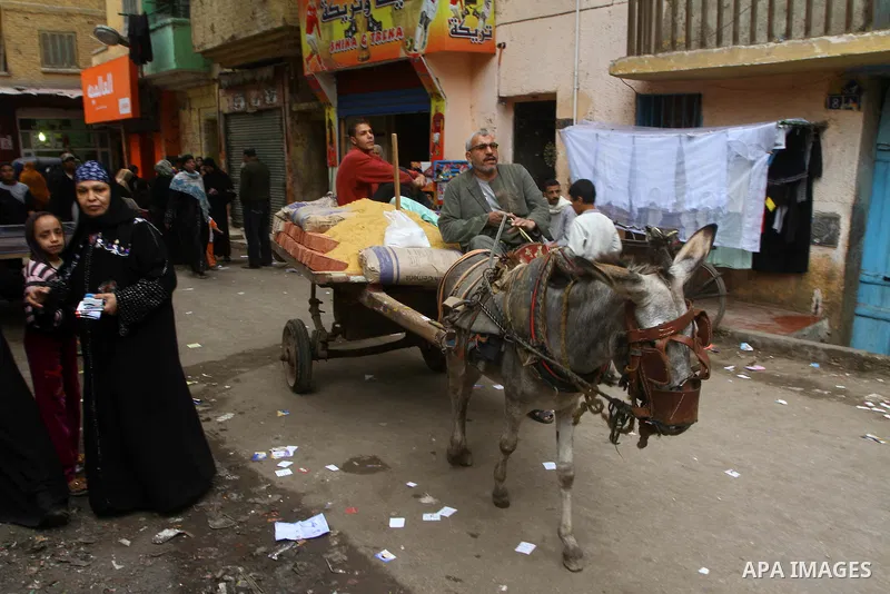 An Egyptian rides his donkey in Cairo, Egypt, on November 29, 2011. Egypt hailed the start of its first post-revolution election as a triumph for democracy as more voters headed to the polls, boosting turn-out for a vote...