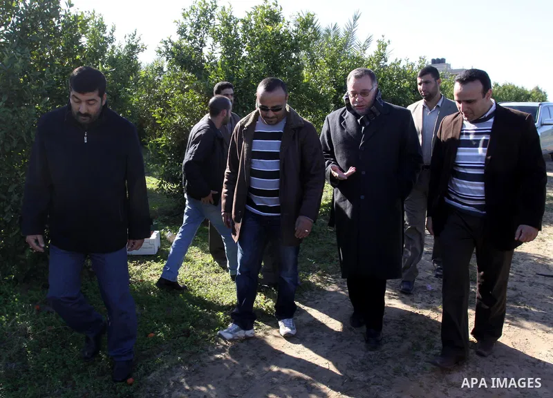 Palestinian Miinister of Agriculture, Mohammed al-Agha attends a celebration at farm during the annual harvesting season in Gaza city on Dec. 5,2011. The Ministry of Agriculture organised a celebration at the farm in the...