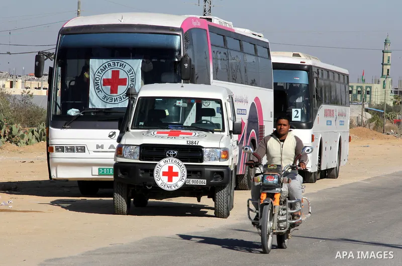 Red Cross vehicles arrive in Rafah border crossing, in southern Gaza Strip, on Dec. 18, 2011. About 40 live in Gaza Strip from the total 550 Palestinian prisoners will be freed on Sunday from Israeli jails, in the second...
