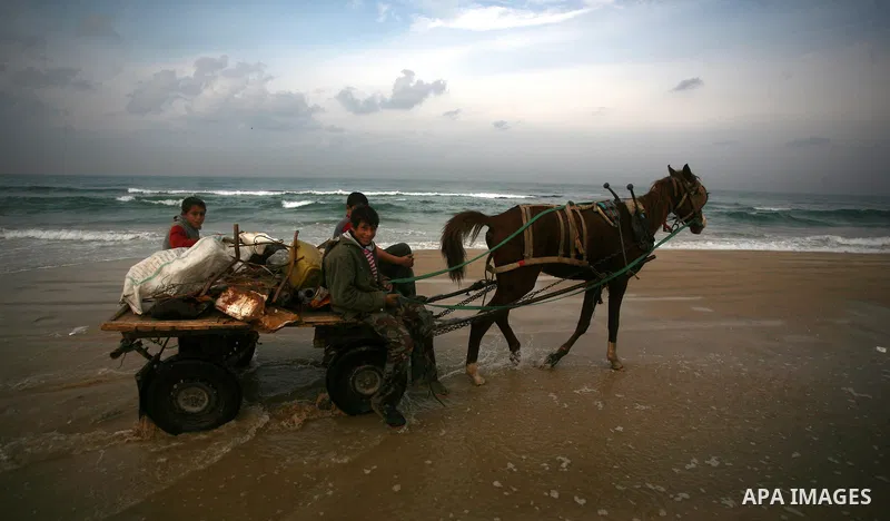 Palestinian children walk near the sea of Gaza City, trying collects scrap metal. Dec. 21, 2011. Photo by Mahmud Nassar