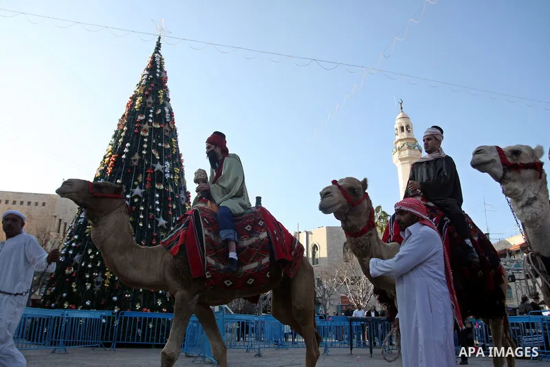 Palestinian Christian ride camels front a Christmas tree placed in Manger Square outside the Church of the Nativity in the biblical West Bank city of Bethlehem on December 22, 2011 as Christian pilgrims started gathering...