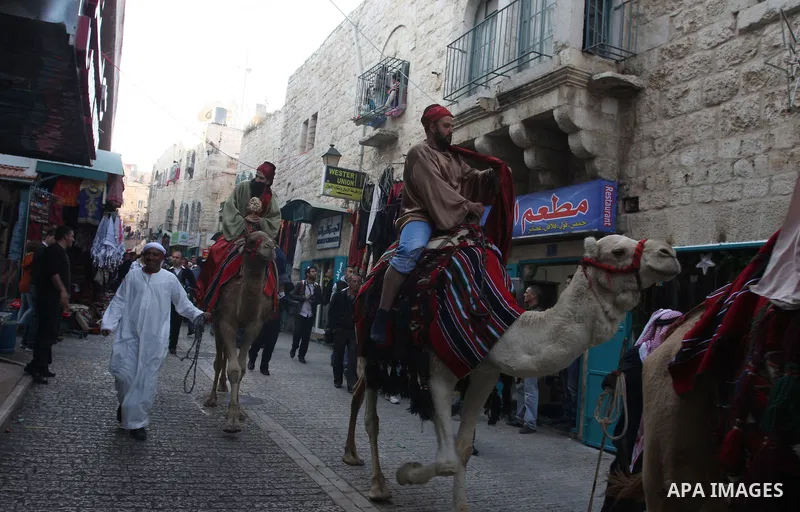Palestinian Christian ride camels front a Christmas tree placed in Manger Square outside the Church of the Nativity in the biblical West Bank city of Bethlehem on December 22, 2011 as Christian pilgrims started gathering...