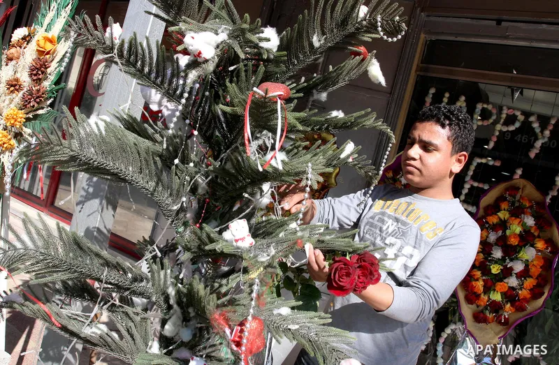 Palestinian during decorates Shop of the flowers a tree at a park in Gaza city on Dec 31,2011 in preparation for celebrating the new year. Photo by Mohammed Asad