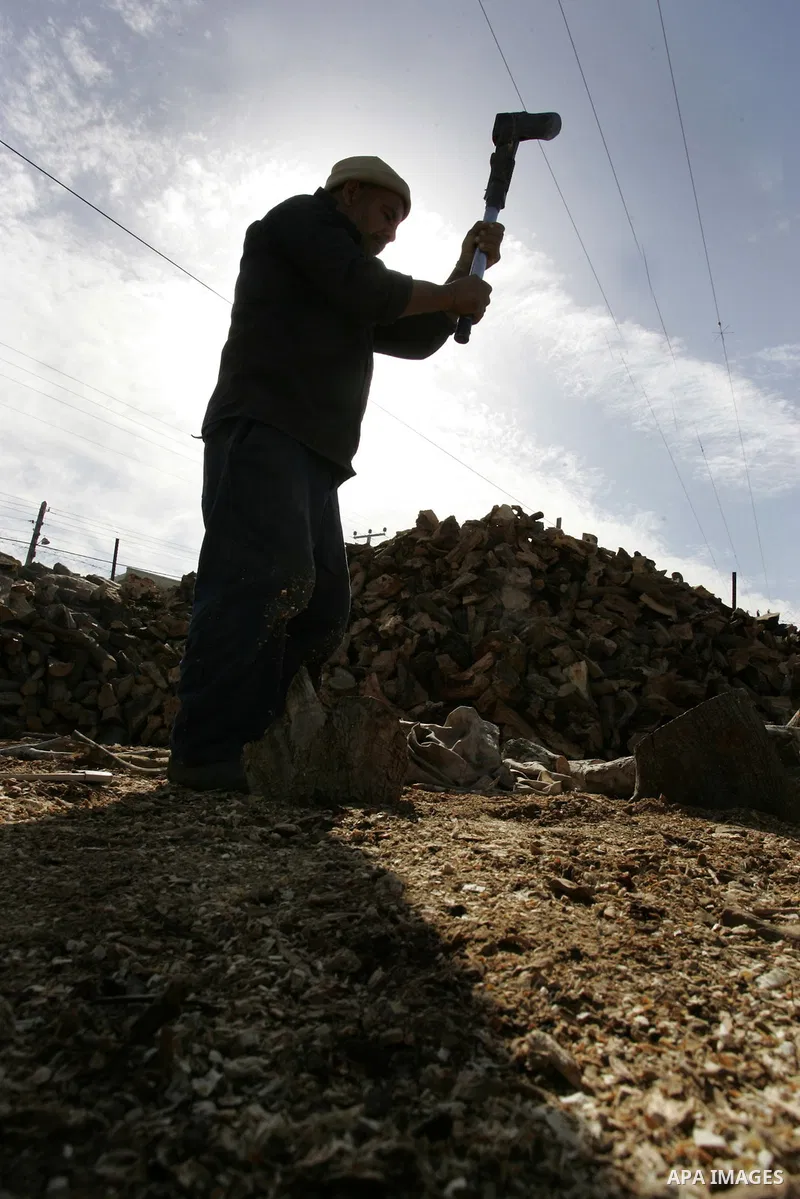 A Palestinian workers collect firewood at a yard in Khan Younis, southern Gaza Strip on January 11, 2012.Photo by Abed Rahim Khatib