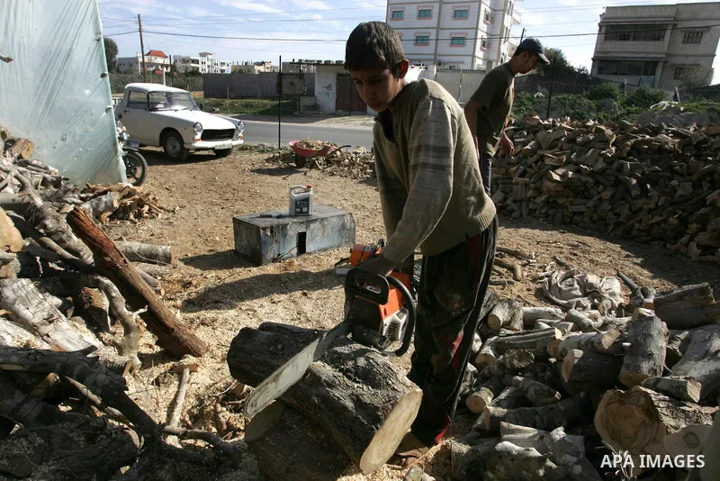 A Palestinian workers collect firewood at a yard in Khan Younis, southern Gaza Strip on January 11, 2012.Photo by Abed Rahim Khatib