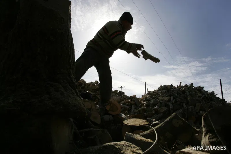 A Palestinian workers collect firewood at a yard in Khan Younis, southern Gaza Strip on January 11, 2012.Photo by Abed Rahim Khatib