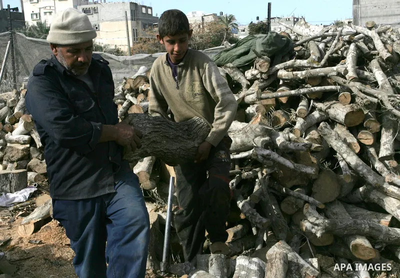 A Palestinian workers collect firewood at a yard in Khan Younis, southern Gaza Strip on January 11, 2012.Photo by Abed Rahim Khatib