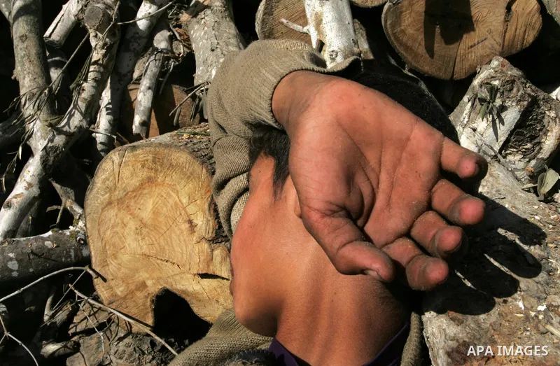 Palestinian boy sleeping on the wood while taking a portion of intermission at a yard in Khan Younis, southern Gaza Strip on January 11, 2012. Photo by Abed Rahim Khatib