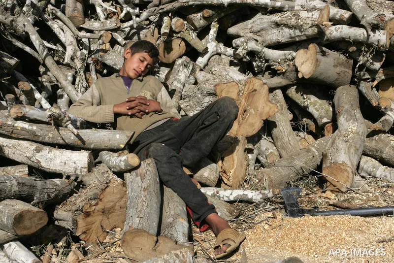 Palestinian boy sleeping on the wood while taking a portion of intermission at a yard in Khan Younis, southern Gaza Strip on January 11, 2012. Photo by Abed Rahim Khatib