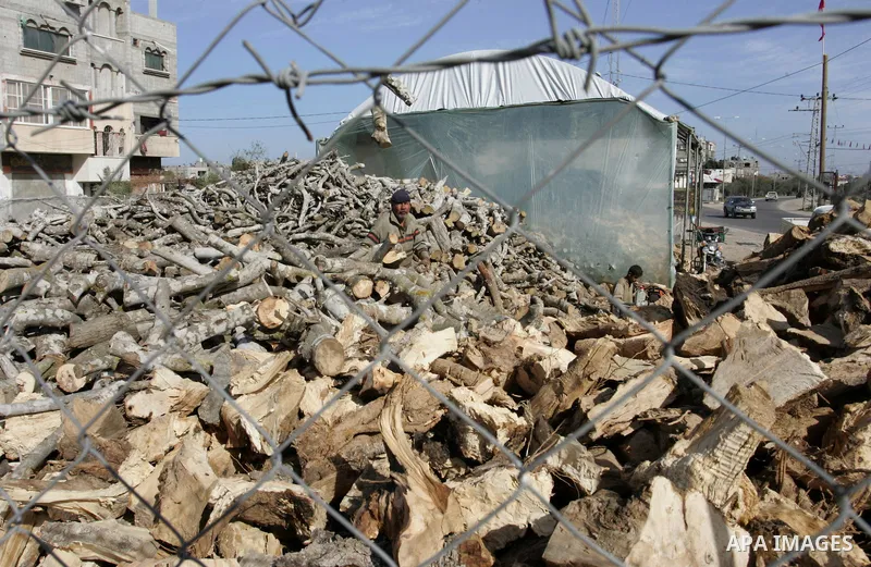 A Palestinian workers collect firewood at a yard in Khan Younis, southern Gaza Strip on January 11, 2012.Photo by Abed Rahim Khatib