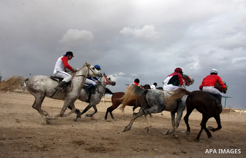 Palestinian jockeys take part in a horse race at an equestrian club in the West Bank city of Jericho January 27, 2012. Photo by Issam Rimawi