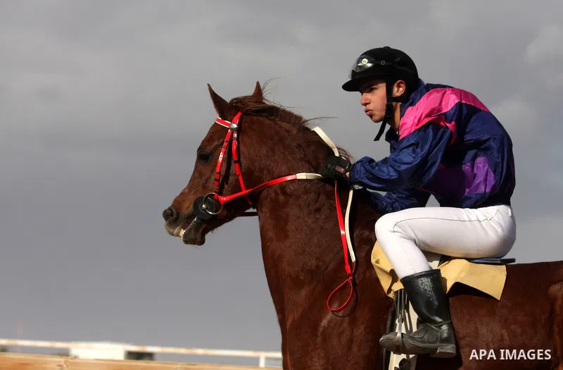 Palestinian jockeys take part in a horse race at an equestrian club in the West Bank city of Jericho January 27, 2012. Photo by Issam Rimawi