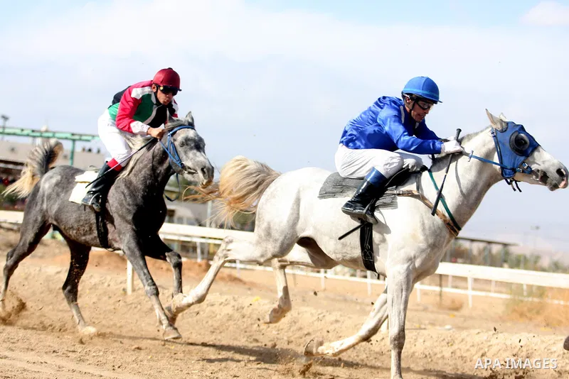 Palestinian jockeys take part in a horse race at an equestrian club in the West Bank city of Jericho January 27, 2012. Photo by Issam Rimawi
