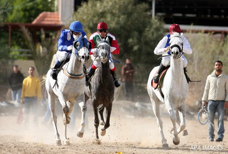 Palestinian jockeys take part in a horse race at an equestrian club in the West Bank city of Jericho January 27, 2012. Photo by Issam Rimawi