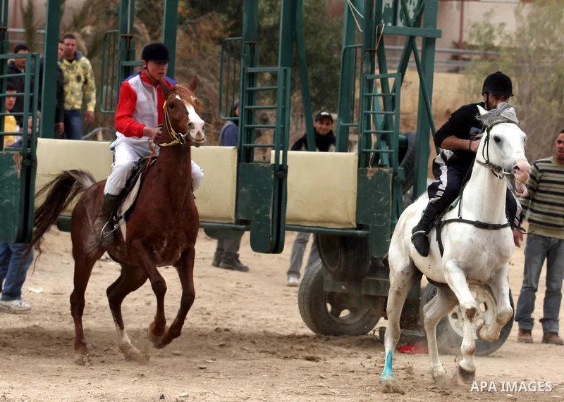 Palestinian jockeys take part in a horse race at an equestrian club in the West Bank city of Jericho January 27, 2012. Photo by Issam Rimawi