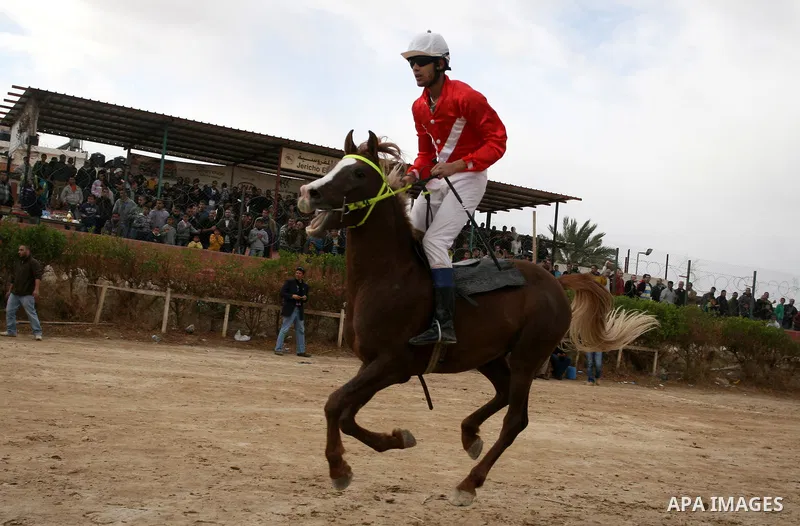Palestinian jockeys take part in a horse race at an equestrian club in the West Bank city of Jericho January 27, 2012. Photo by Issam Rimawi