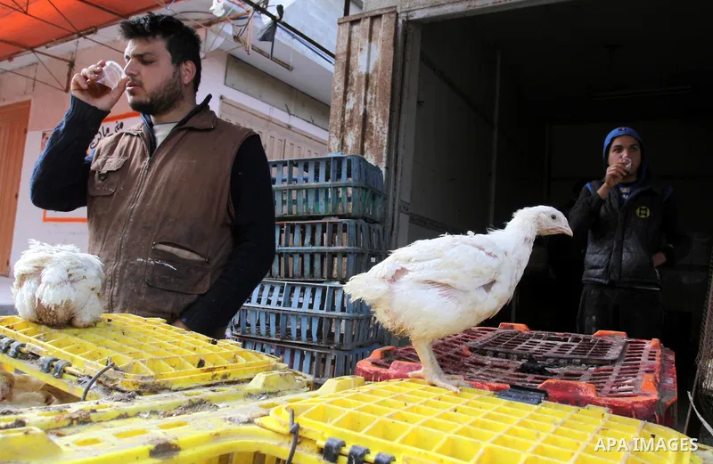 Palestinians refrain from buying chicken because of the expensive prices in the chicken shops, during the cold winter weather in Gaza City on Jan. 31, 2012. Photo by Mohammed Asad