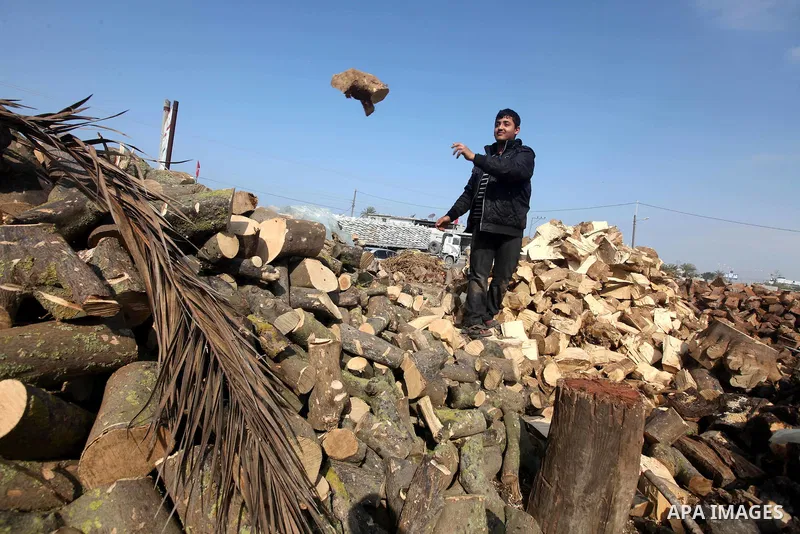 A Palestinian youth cuts firewood to sell to customers near the central Gaza Strip town of Deir al-Balah on January 31, 2012 as locals struggle against low winter temperatures amid daily power cuts and high fuel prices....