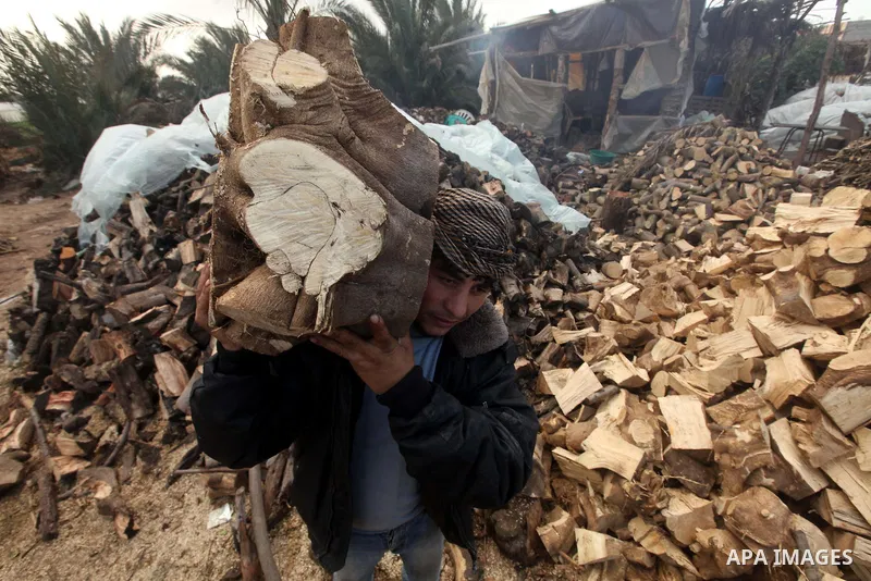 A Palestinian youth cuts firewood to sell to customers near the central Gaza Strip town of Deir al-Balah on January 31, 2012 as locals struggle against low winter temperatures amid daily power cuts and high fuel prices....