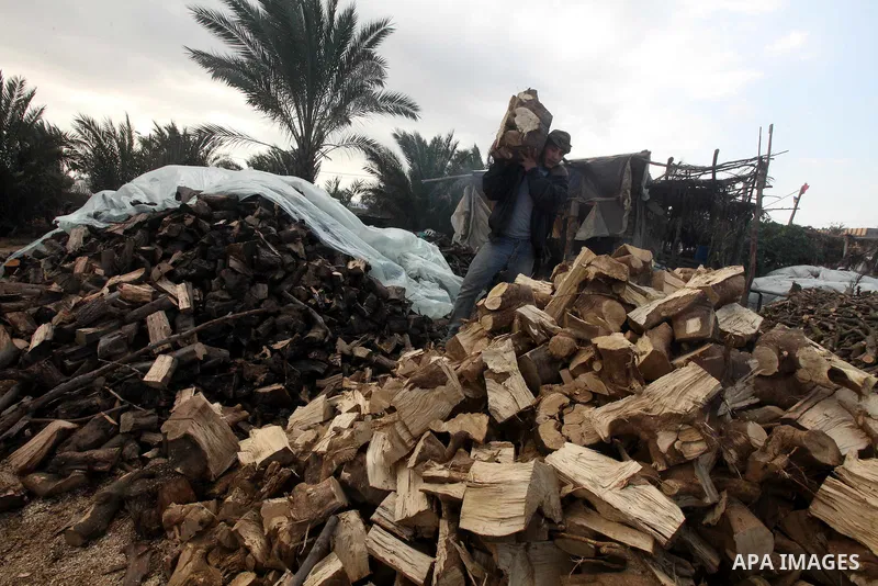 A Palestinian youth cuts firewood to sell to customers near the central Gaza Strip town of Deir al-Balah on January 31, 2012 as locals struggle against low winter temperatures amid daily power cuts and high fuel prices....