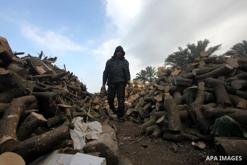 A Palestinian youth cuts firewood to sell to customers near the central Gaza Strip town of Deir al-Balah on January 31, 2012 as locals struggle against low winter temperatures amid daily power cuts and high fuel prices....