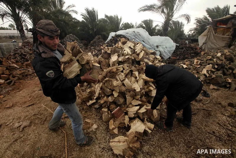 A Palestinian youth cuts firewood to sell to customers near the central Gaza Strip town of Deir al-Balah on January 31, 2012 as locals struggle against low winter temperatures amid daily power cuts and high fuel prices....