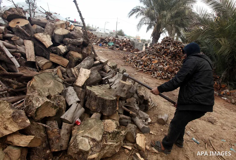 A Palestinian youth cuts firewood to sell to customers near the central Gaza Strip town of Deir al-Balah on January 31, 2012 as locals struggle against low winter temperatures amid daily power cuts and high fuel prices....