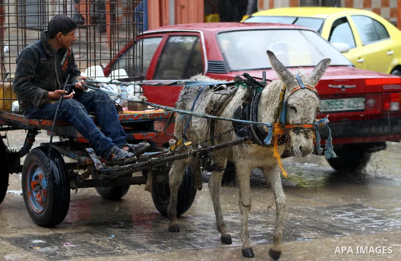 Palestinians walk in a street during the heavy rain of the winter, in the Gaza City, Feb. 01, 2012. Photo by Ashraf Amra