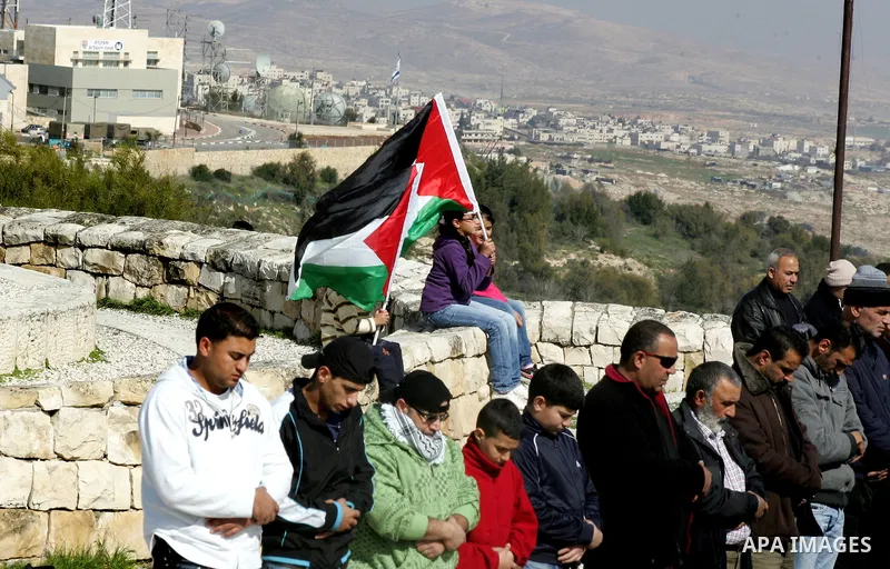 Palestinian demonstrators pray in the East Jerusalem neighbourhood of Issawiya and grow an olives trees on february 3, 2012. in protest against a decision by the Jerusalem municipality and Israel's Nature and Parks Autho...