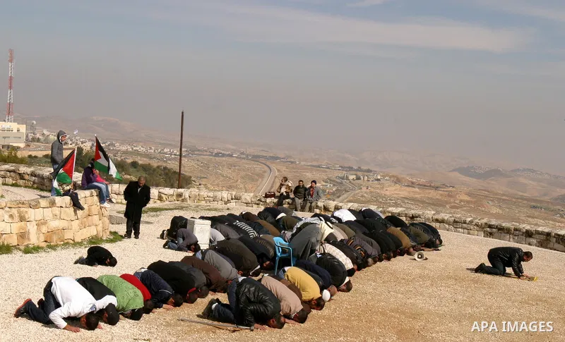Palestinian demonstrators pray in the East Jerusalem neighbourhood of Issawiya and grow an olives trees on february 3, 2012. in protest against a decision by the Jerusalem municipality and Israel's Nature and Parks Autho...