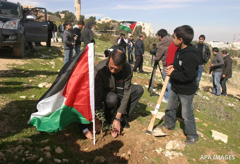 Palestinian demonstrators pray in the East Jerusalem neighbourhood of Issawiya and grow an olives trees on february 3, 2012. in protest against a decision by the Jerusalem municipality and Israel's Nature and Parks Autho...