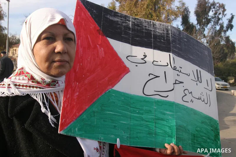 Palestinian, foreign and Israeli left-wing activists participate in a demonstration in the east Jerusalem neighborhood of Sheikh Jarrah, Friday, Feb. 03, 2012. The protest was organized by groups supporting Palestinians...
