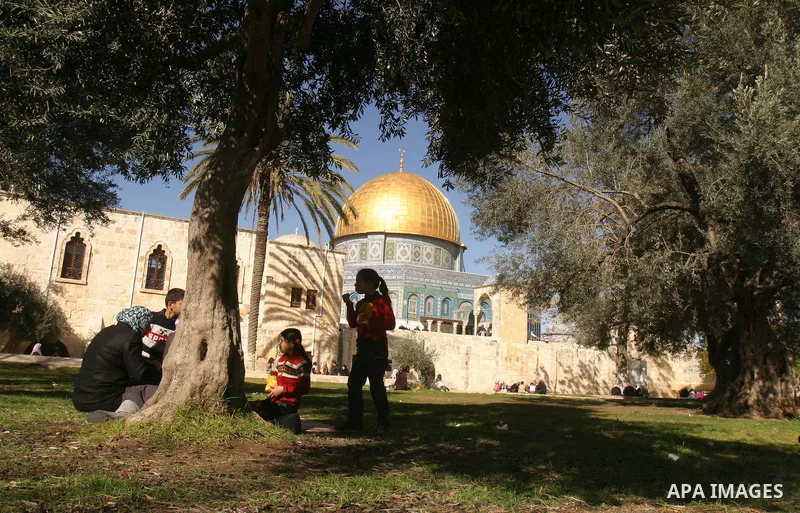 Palestinians Celebrating a marking the birthday of Prophet Mohammad in Al-Aqsa Mosque in Old City of Jerusalem on February 4, 2012. Photo by Mahfouz Abu Turk