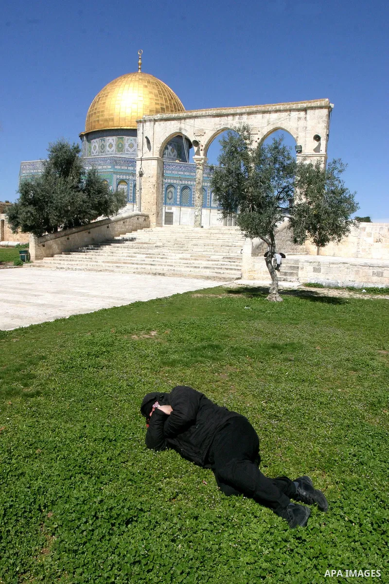 A Palestinian Man sleep in the garden for Al-Aqsa Mosque compound in Jerusalem, March 07, 2012. Photo by Mahfouz Abu Turk