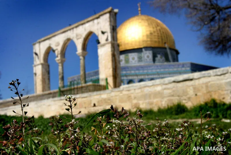 A Palestinian Man sleep in the garden for Al-Aqsa Mosque compound in Jerusalem, March 07, 2012. Photo by Mahfouz Abu Turk