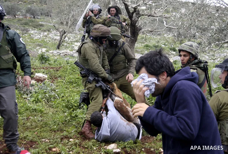 An Israeli army dog attacks a Palestinian protester during a demonstration against the expropriation of Palestinian land by Israel in the village of Kafr Qaddum, near Nablus in the occupied West Bank, on March 16, 2012....