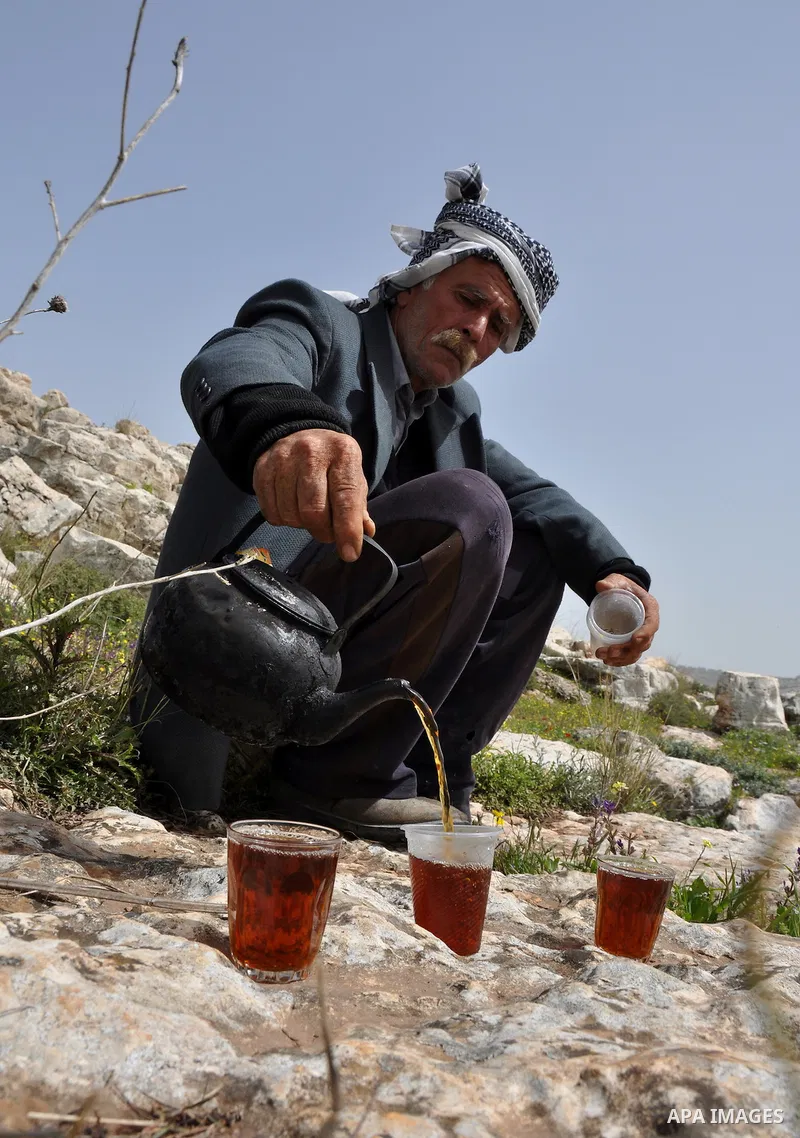 Palestinian shepherd Abu Jaafar makes a tea by a fire in Biet Leed village near the West Bank city of Tulkarem, 20 March 2012. Photo by Nedal Eshtayah