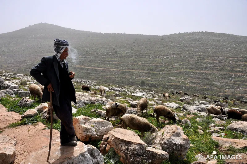 Palestinian shephered Abu Jaafar makes a tea by a fire in Biet Leed village near the west bank city of Tulkarem, 20 March 2012. Photo by Nedal Eshtayah