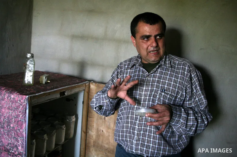 A Palestinian Radi Osman, work at a mushroom plantation production in West Bank city of Ramallah, on March 24, 2012. Photo by Issam Rimawi