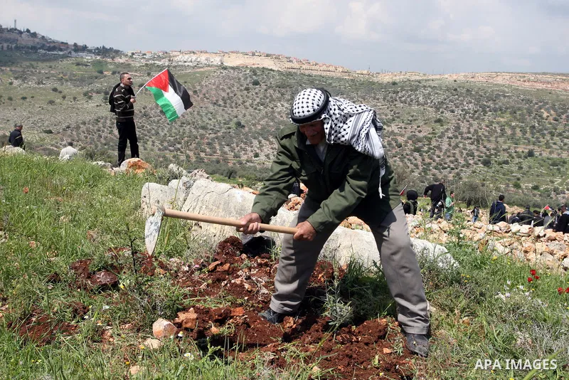 Palestinian old man "Mahfouz Kamel" 75 years, during the cultivation of olive trees during a demonstration on the occasion of "Land Day", which falls tomorrow, on the threatened confiscation of land by the Israeli occupa...